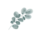 separator
